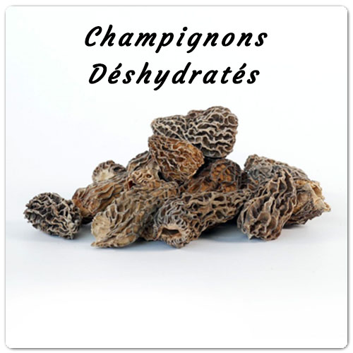 Morilles Séchées
