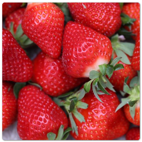 titre_articles_fraises_clery